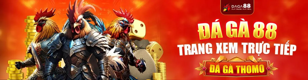Hình ảnh tổng quan về việc chọn nền tảng cá cược trực tuyến tốt nhất tại nani88
